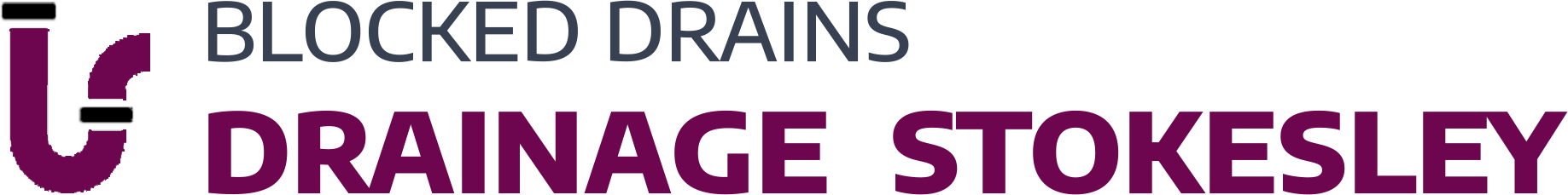 website logo
